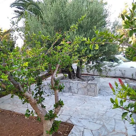 Appartamento Cretanvibes Hersonissos (Crete)